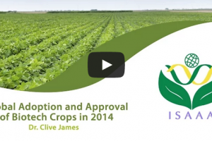 Global Adoption and Approval of Biotech Crops in 2014