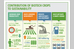 Infographic on Biotech Crops Benefits