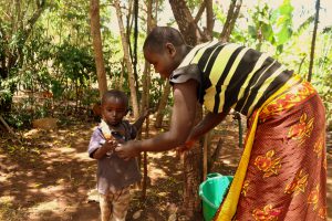 How Genome Editing will address the Challenge of Cassava Breeding in Africa
