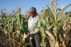New Offering for Farmers in South Africa