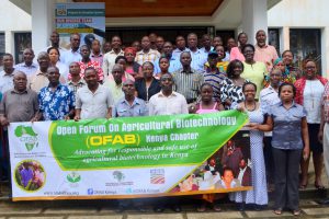 Kenyan Farmers Call On The Gov’t to Allow GM Products