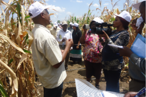 Tanzania: WEMA Confined Field Trials to Start in April 2016