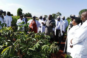 Out of the Board room into the Fields: Kenya’s Biosafety Board and Appeals Board Assess Country’s Capacity