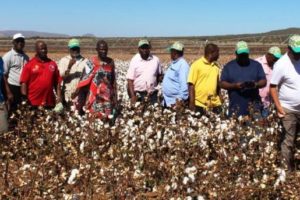 Swaziland’s Agric Director Expresses Support to Amend Biosafety Law