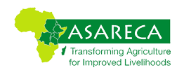 Asareca