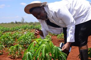 How European-Based NGOs Block Crop Biotechnology Adoption In Africa How European-Based NGOs Block Crop Biotechnology Adoption In Africa