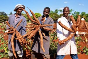 Beyond the Ugali: Saving Kenya’s Alternative Food Sources