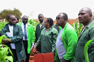 Policy Reforms Key in Biotech/GM Crops Adoption in Africa