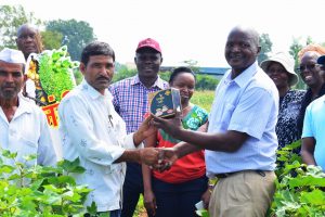 Lift the GM Ban and Give Kenyan Farmers a Chance Lift the GM Ban and Give Kenyan Farmers a Chance