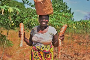VACANCY: VIRCA Plus Deployment Program Manager