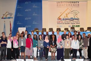 ISAAA’s Statements at the UN Biodiversity Confrence ISAAA’s Statements at the UN Biodiversity Confrence