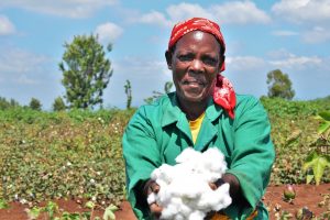 KENYA TO PLANT BT COTTON BY NOVEMBER 2020