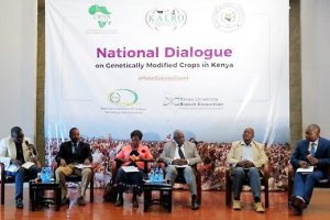 Kenyans Embrace Dialogue on GMOs – A Twitter Story Kenyans Embrace Dialogue on GMOs – A Twitter Story