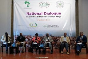 Kenyans Embrace Dialogue on Genetically Modified Crops Kenyans Embrace Dialogue on Genetically Modified Crops