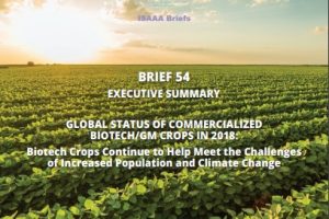 Special Report: Biotech Crops Continue to Help Meet the Challenges of Increased Population and Climate Change