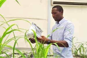 Kenya’s top scientist awarded prestigious Royal Society Africa Prize 2020