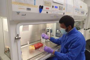 Inside Research Project Developing Genome Edited Chickens Resistant to Bird Flu