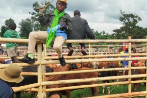 World Veterinary Day celebration in style by Kenya Veterinary Association World Veterinary Day celebration in style by Kenya Veterinary Association