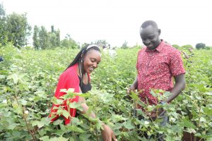 Tapping into the Potential of Young African Scientists to combat Misinformation on Agricultural Innovations Tapping into the Potential of Young African Scientists to combat Misinformation on Agricultural Innovations