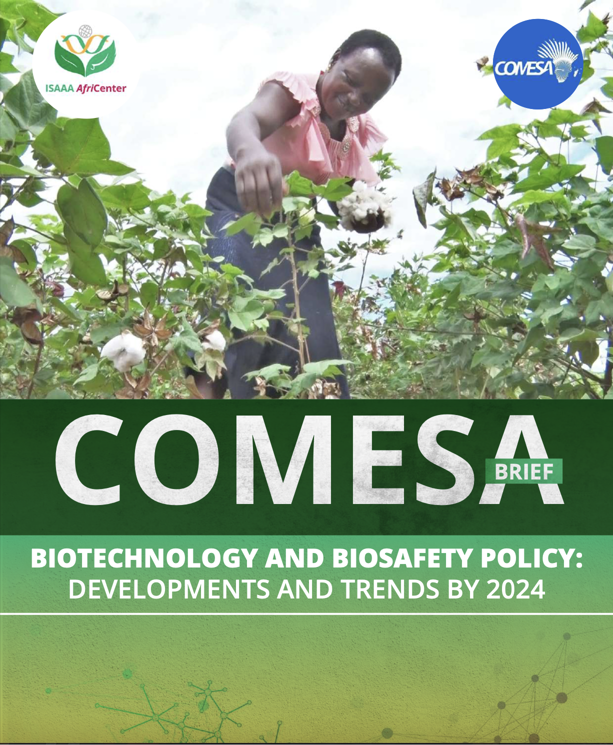 COMESA Biotechnology and Biosafety Policy: Development and Trends by 2024