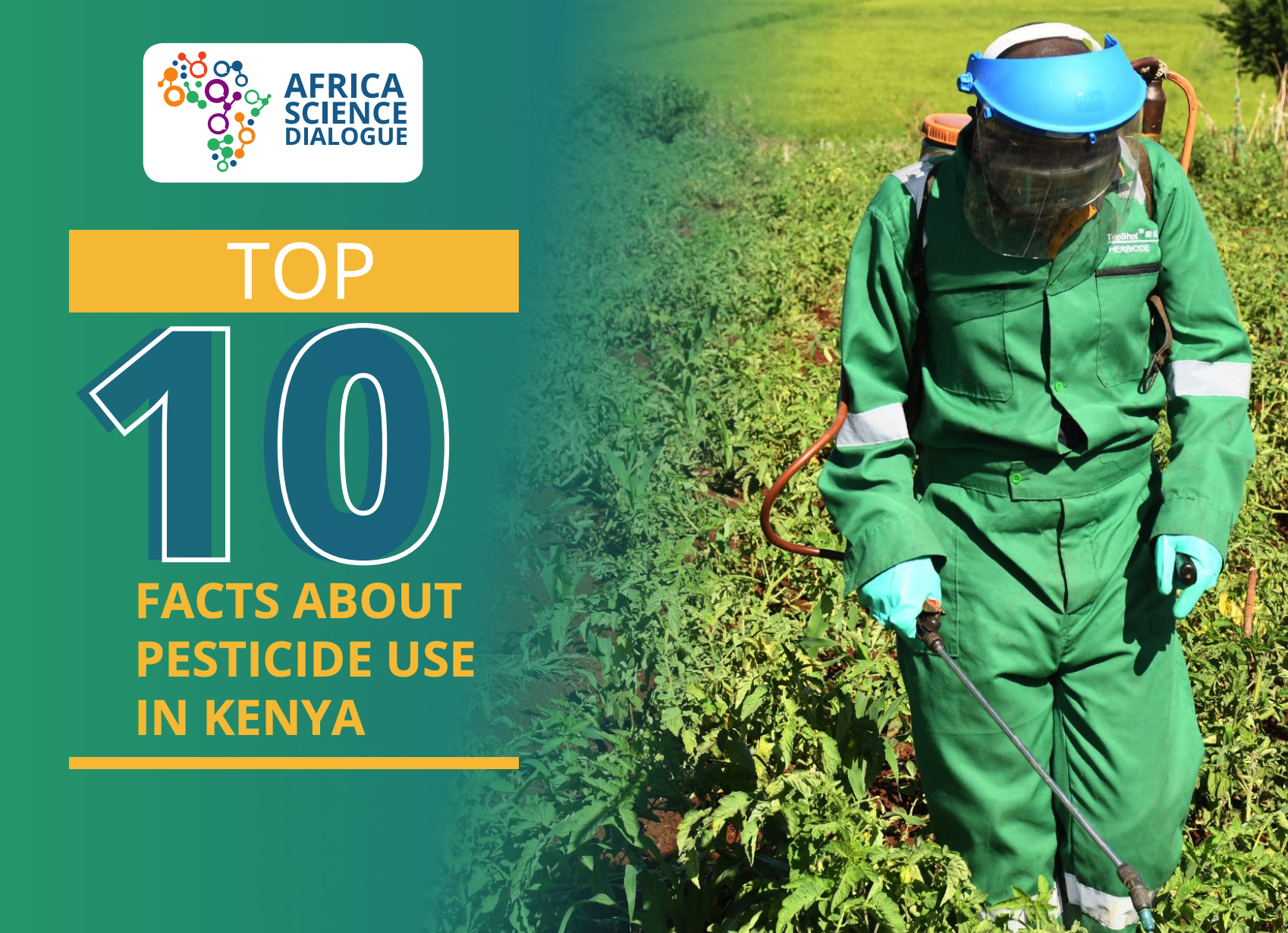 TOP 10 FACTS ABOUT PESTICIDES