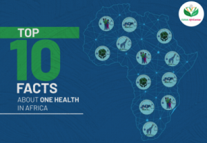 Top 10 Facts about OH in Africa