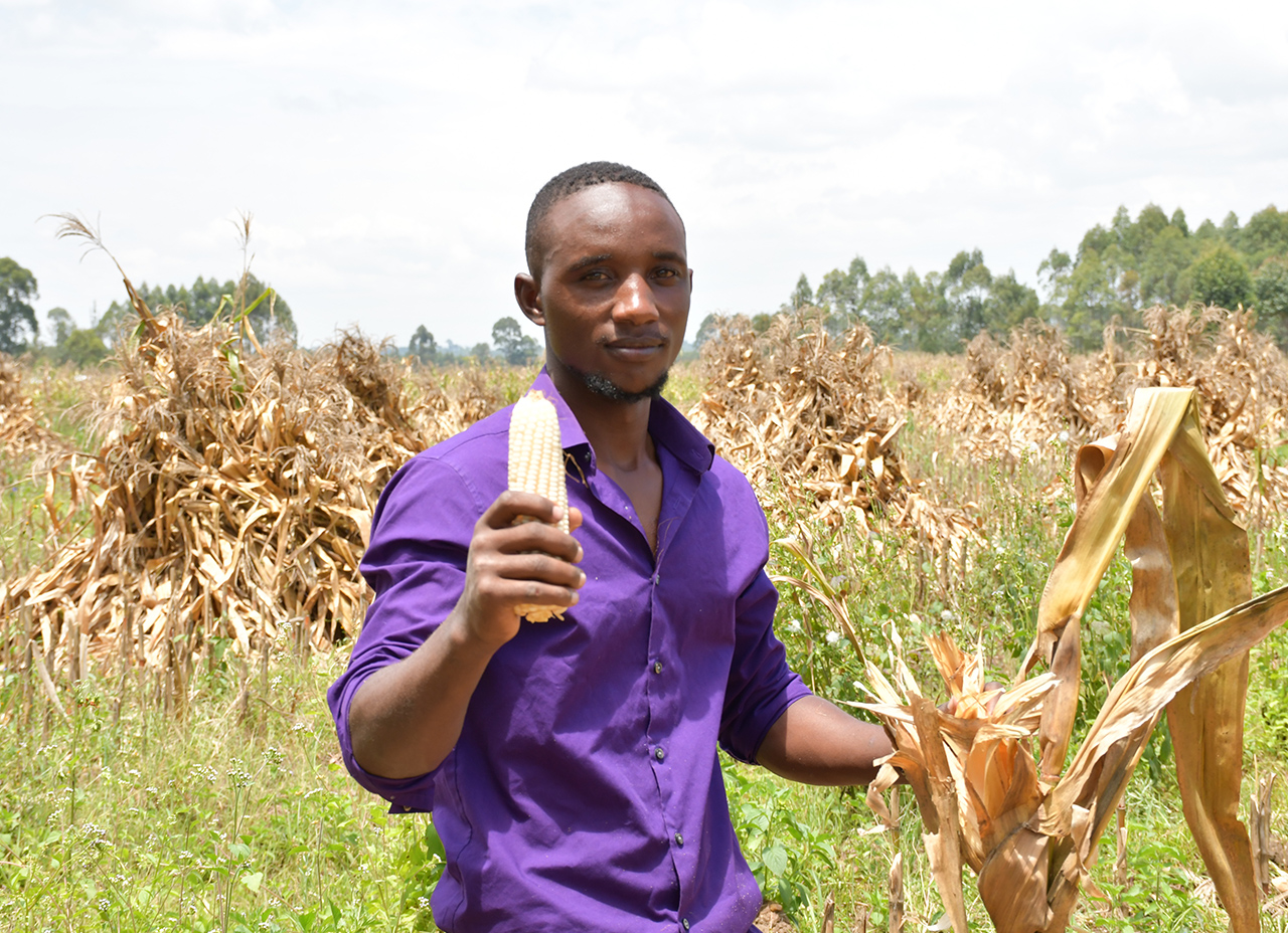 Inside the Devastating Maize Season in Trans Nzoia, Kenya's Food Basket